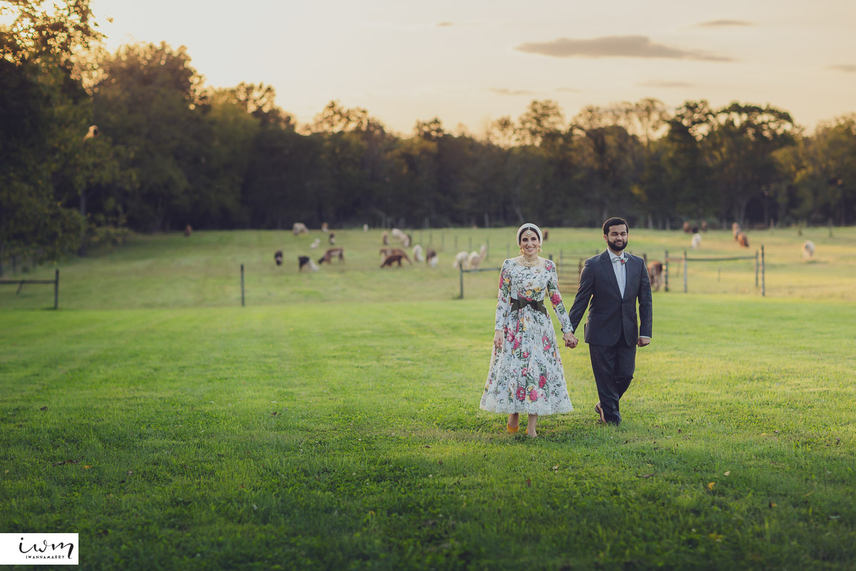 may zain wedding with alpacas at woodsedge farm belvidere nj 15