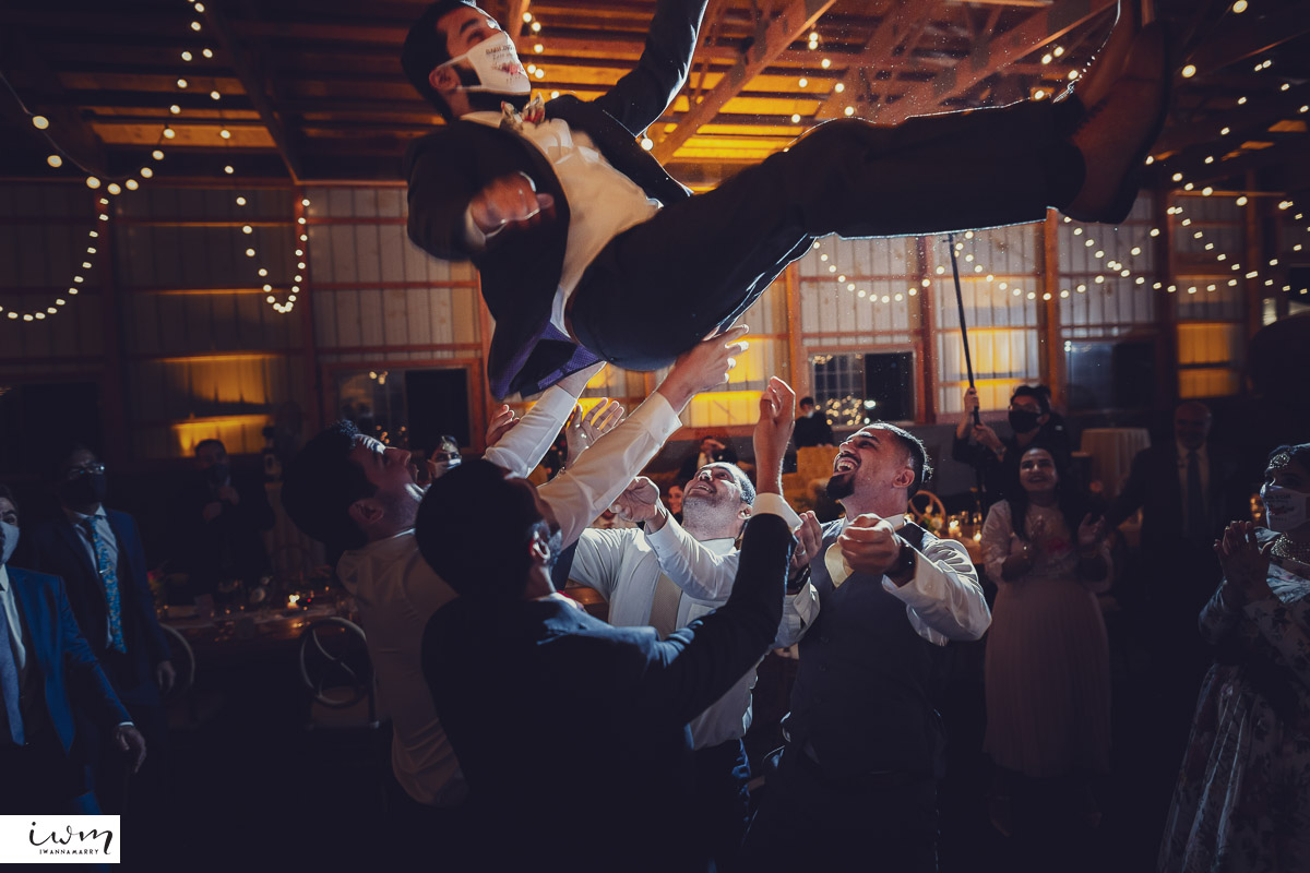 may zain wedding with alpacas at woodsedge farm belvidere nj 2