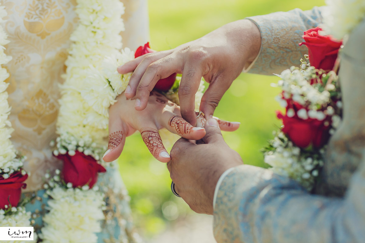 may zain wedding with alpacas at woodsedge farm belvidere nj 20