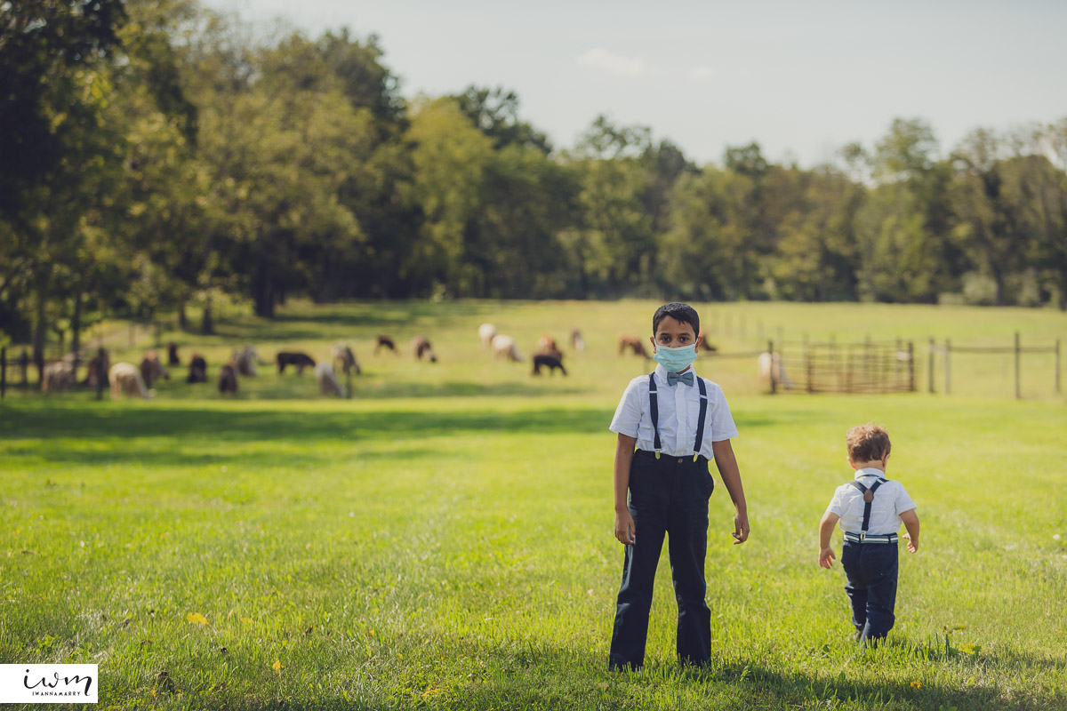 may zain wedding with alpacas at woodsedge farm belvidere nj 27