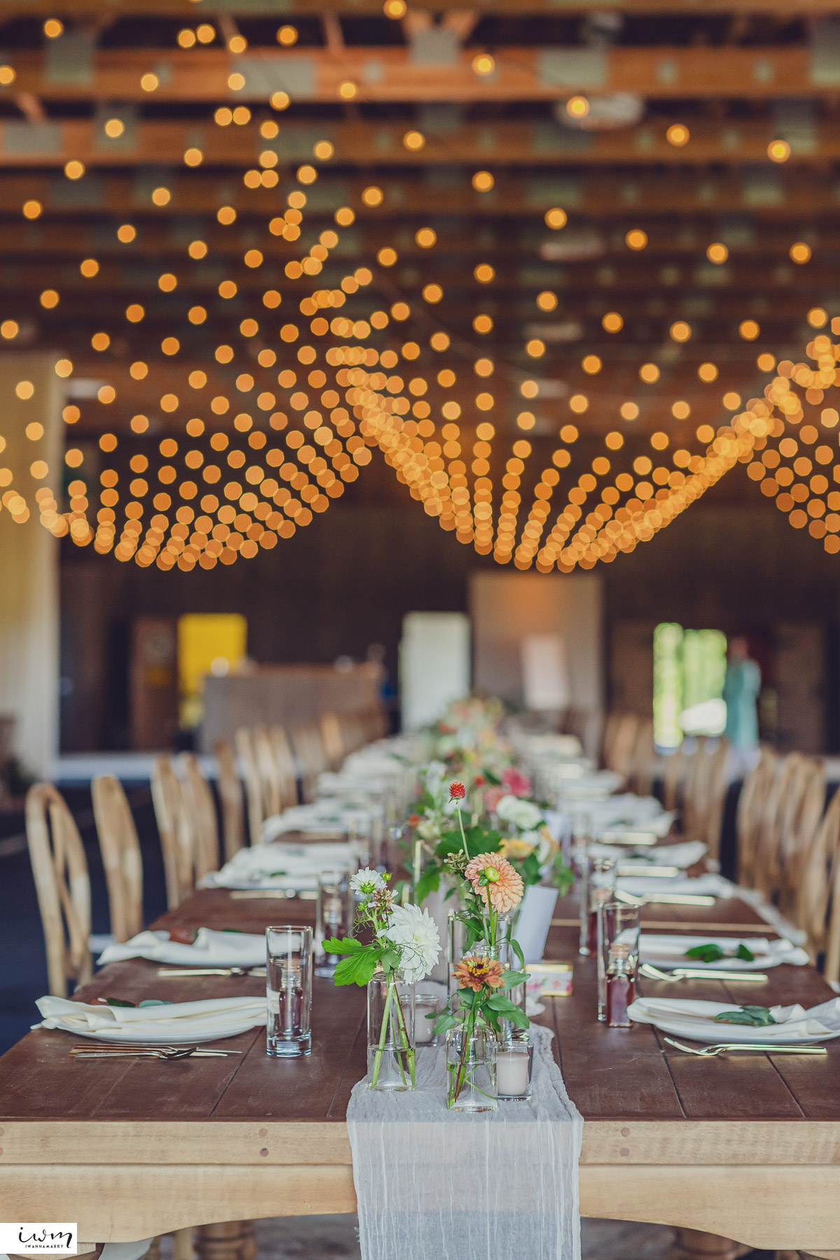 may zain wedding with alpacas at woodsedge farm belvidere nj 29