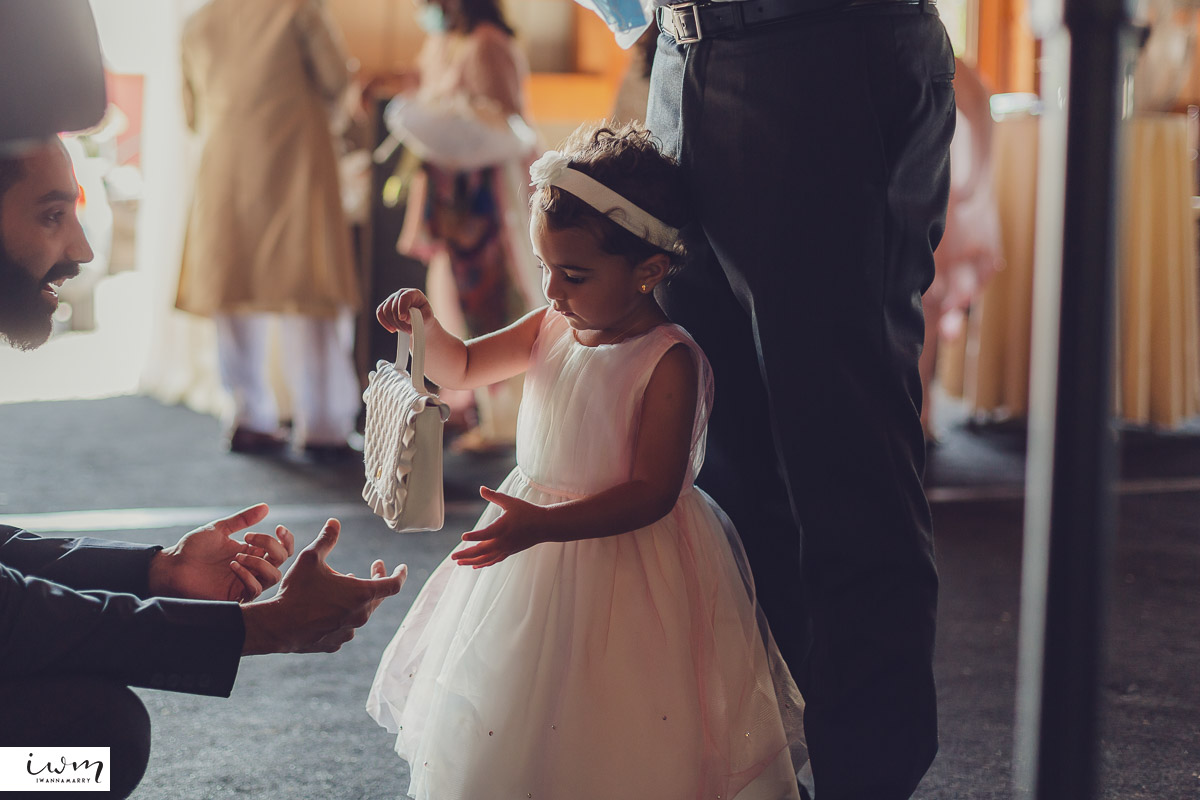 may zain wedding with alpacas at woodsedge farm belvidere nj 33