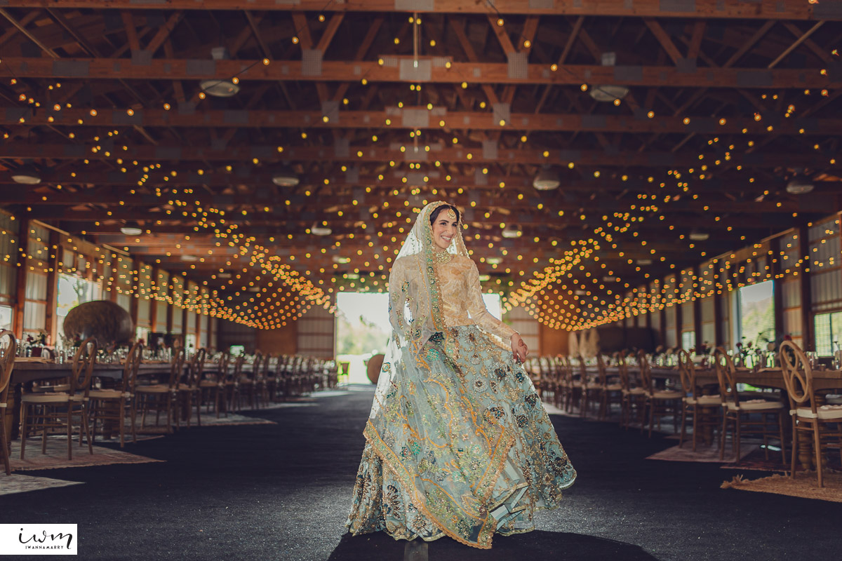 may zain wedding with alpacas at woodsedge farm belvidere nj 36