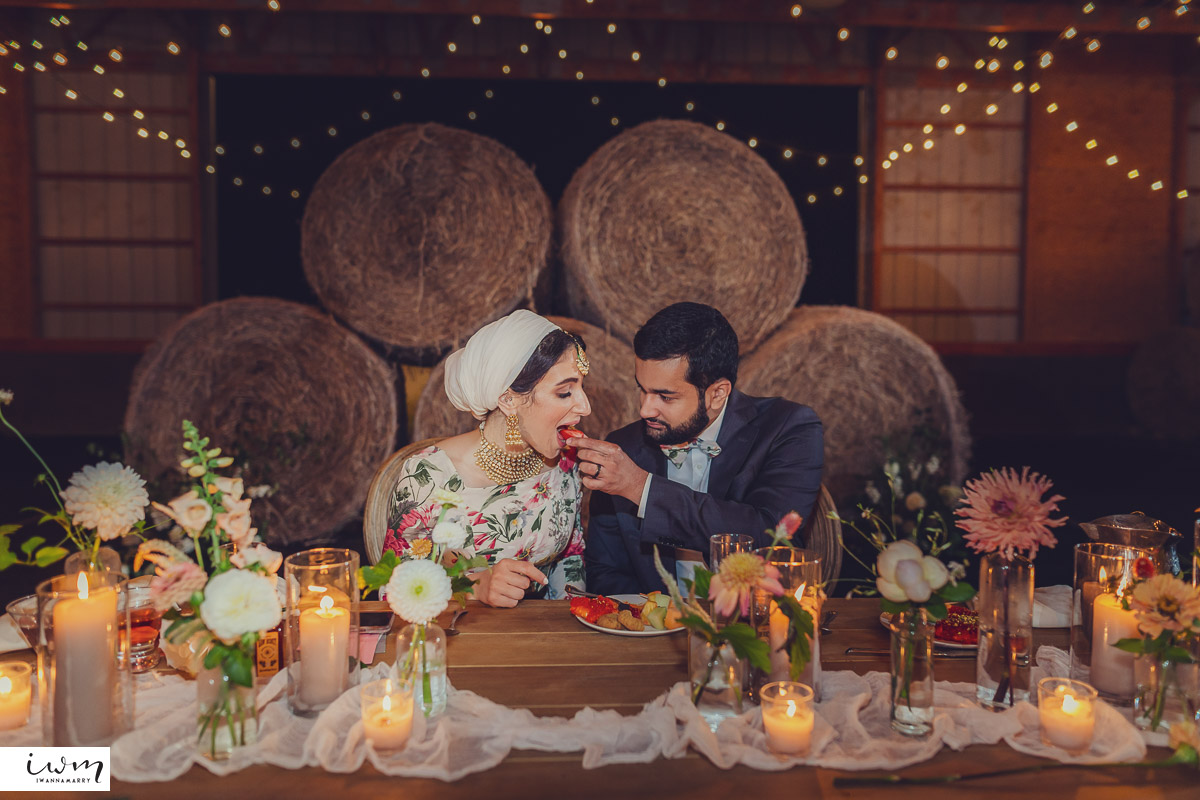 may zain wedding with alpacas at woodsedge farm belvidere nj 4