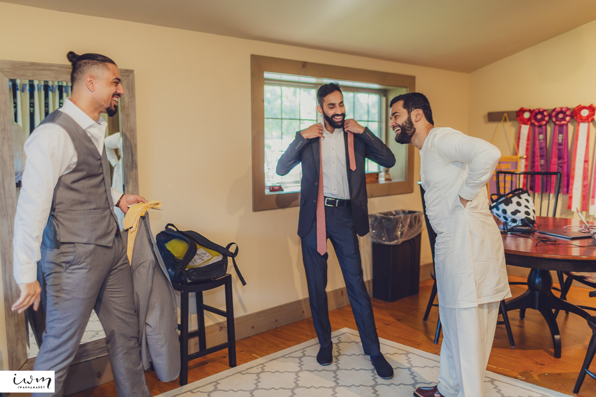may zain wedding with alpacas at woodsedge farm belvidere nj 46