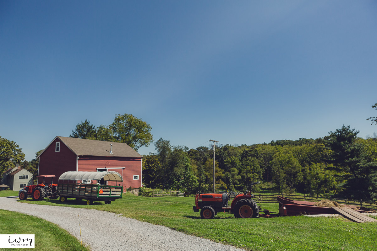 may zain wedding with alpacas at woodsedge farm belvidere nj 54