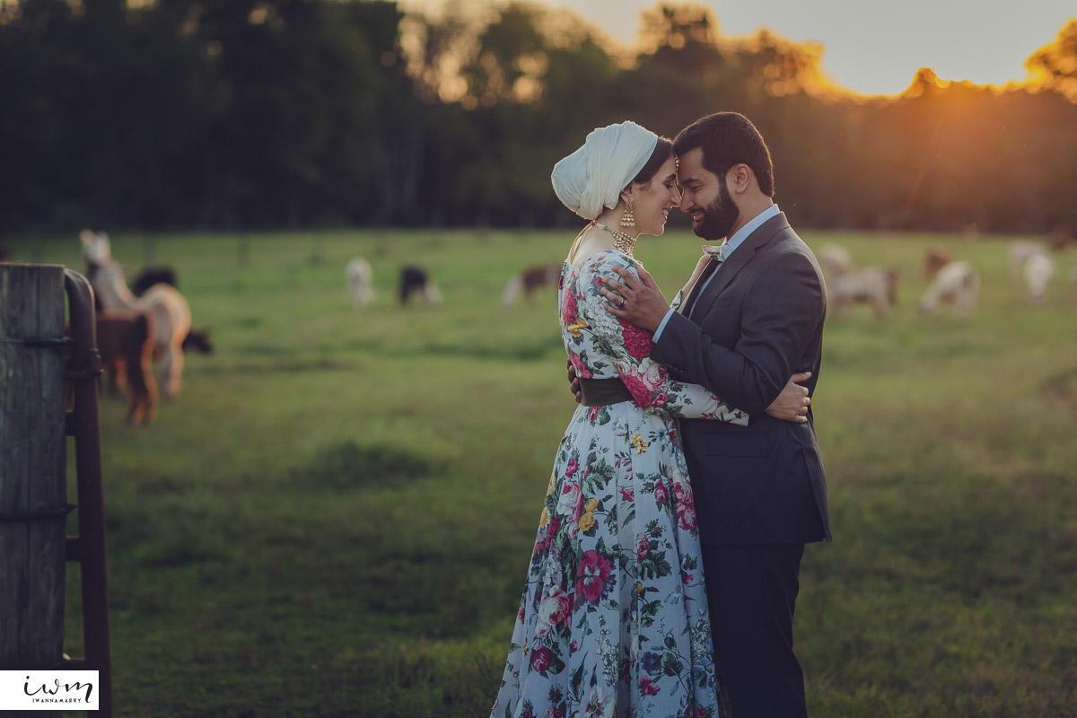 may zain wedding with alpacas at woodsedge farm belvidere nj 6