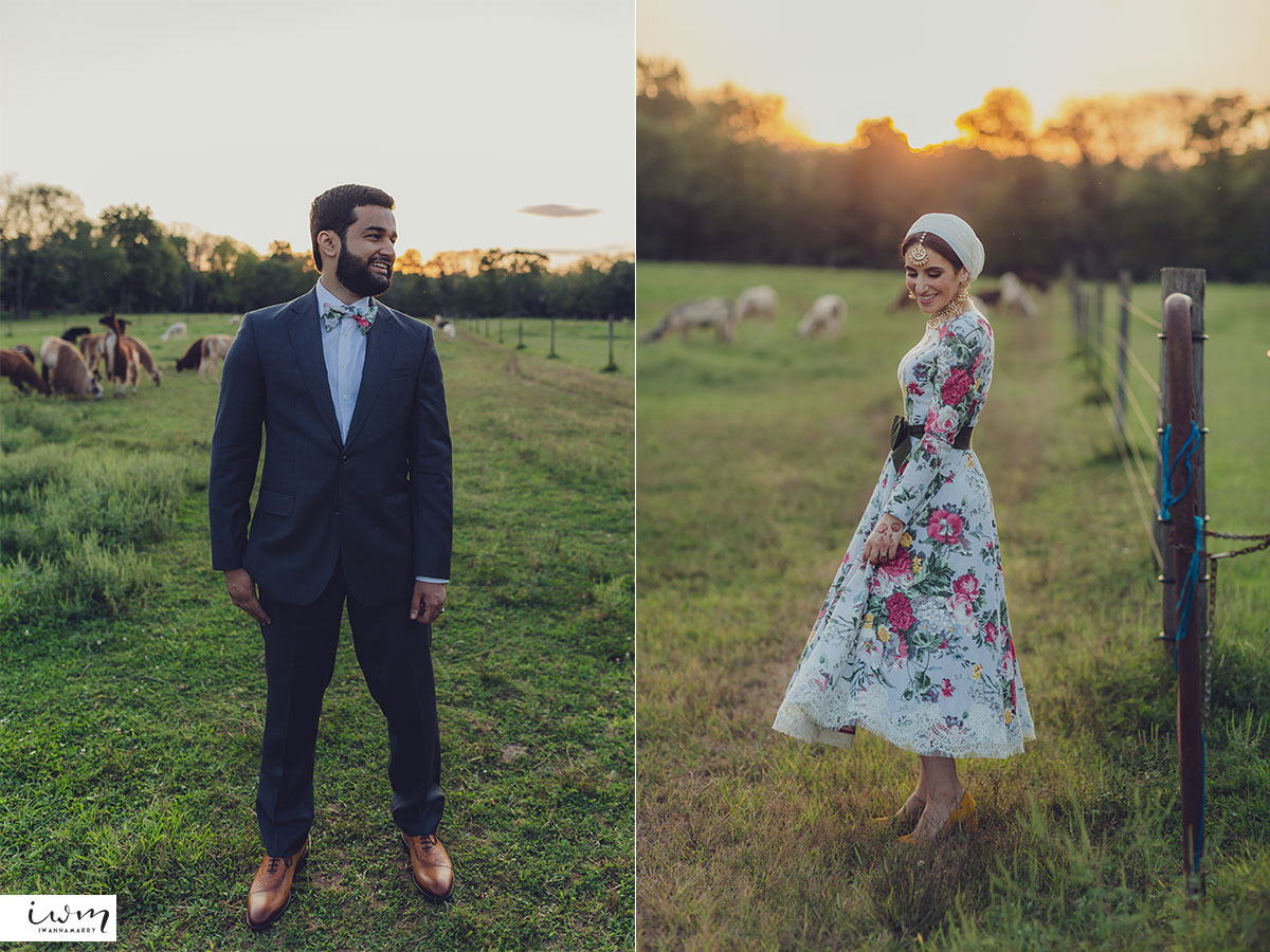 may zain wedding with alpacas at woodsedge farm belvidere nj 7