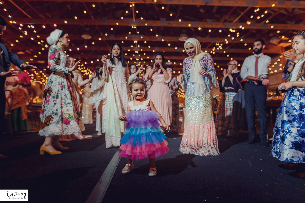 may zain wedding with alpacas at woodsedge farm belvidere nj
