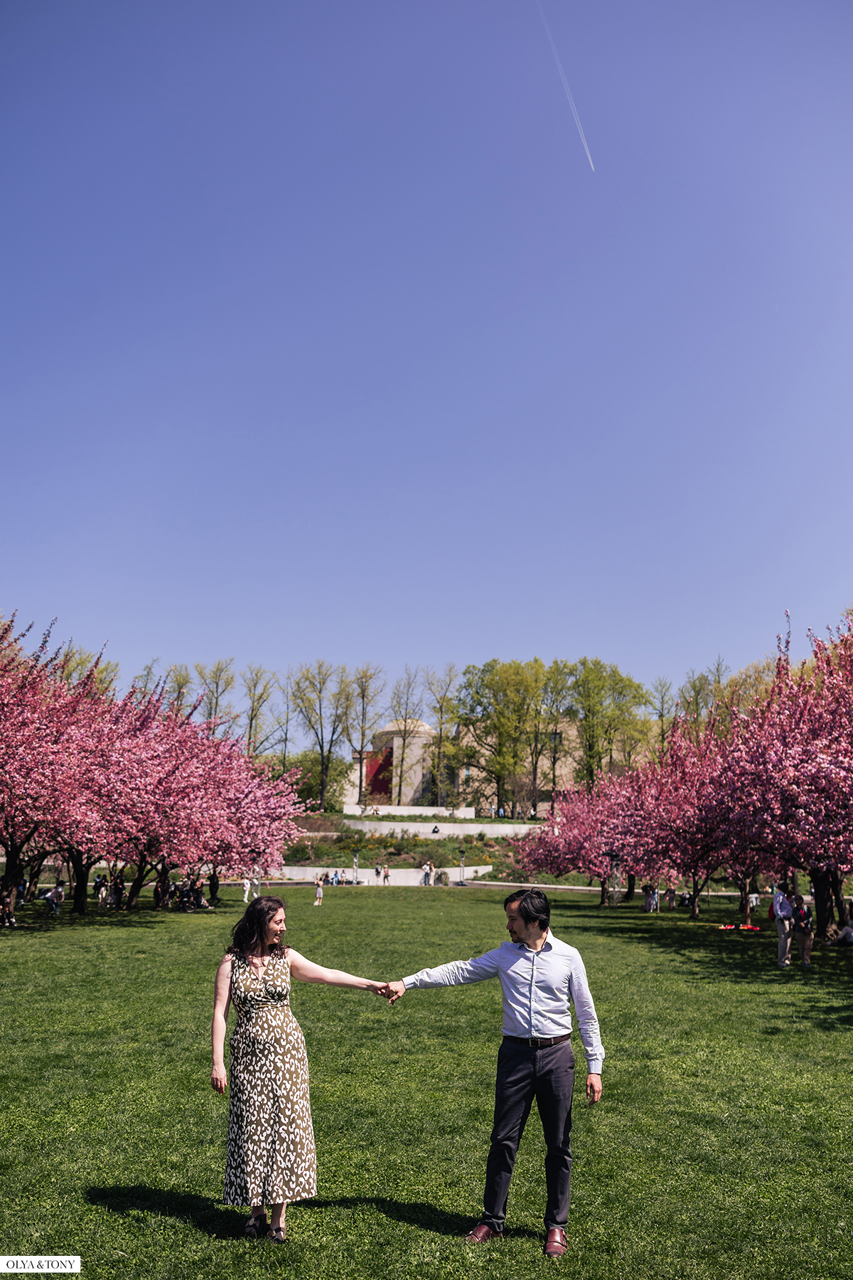 cherry blossom engagement photos in brooklyn botanic garden 12