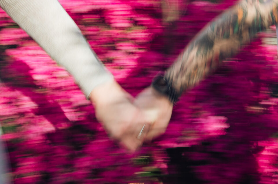 Engagement Photos at Grounds for Sculpture, Hamilton NJ