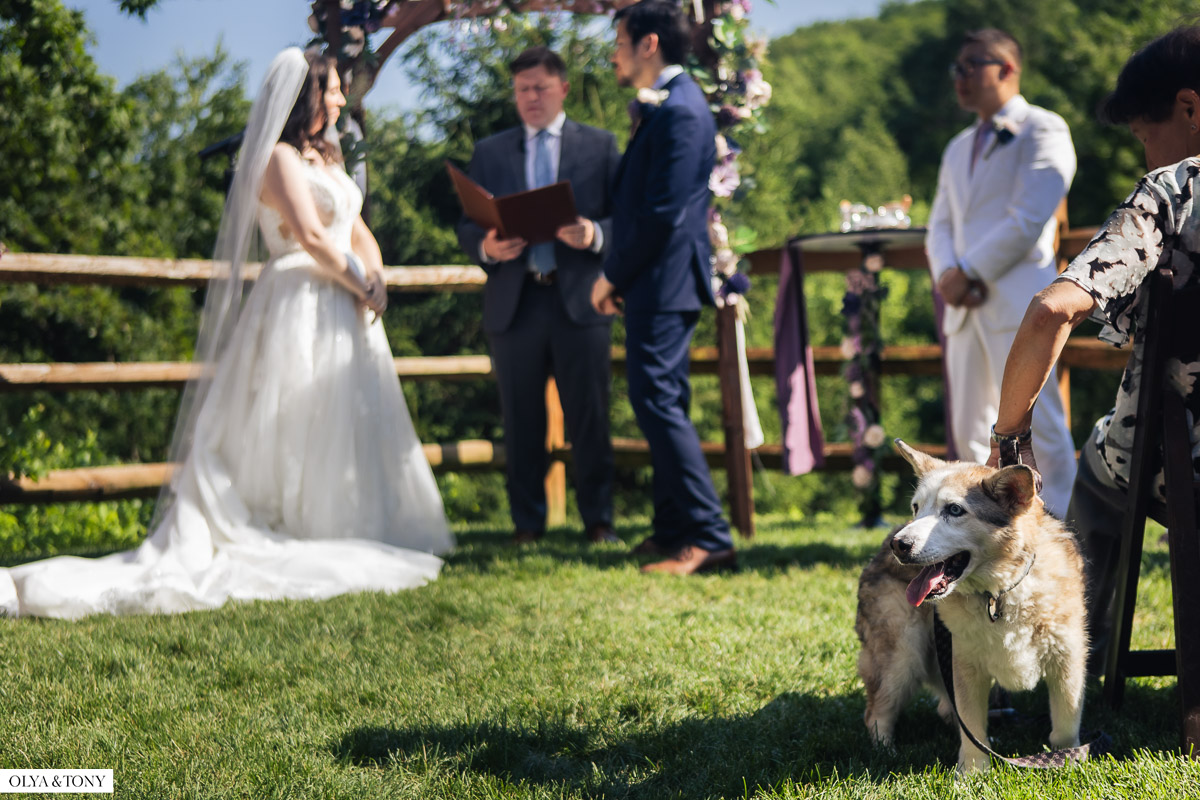 wedding at sylvan ridge farm 37