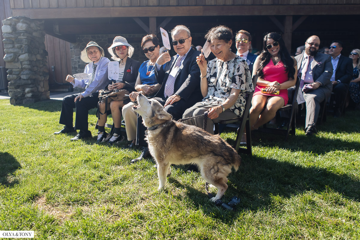wedding at sylvan ridge farm 40