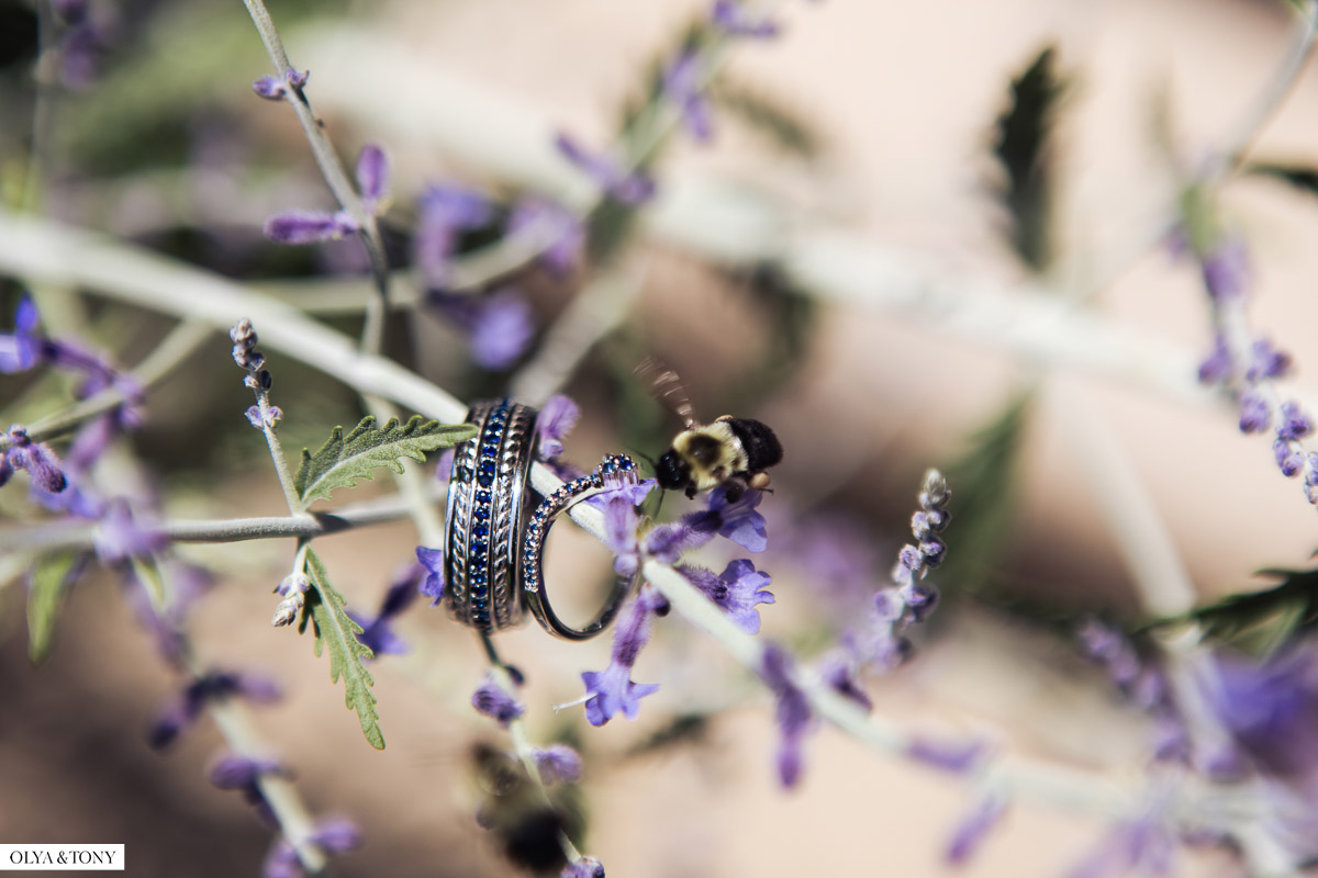 wedding at sylvan ridge farm 56