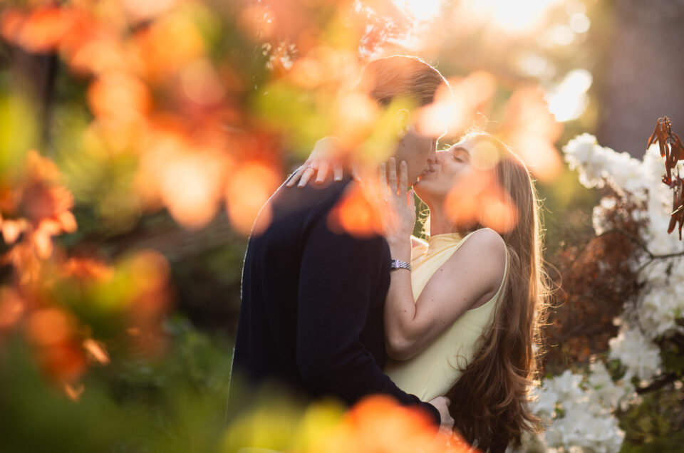 Proposal at Van Vleck House & Gardens