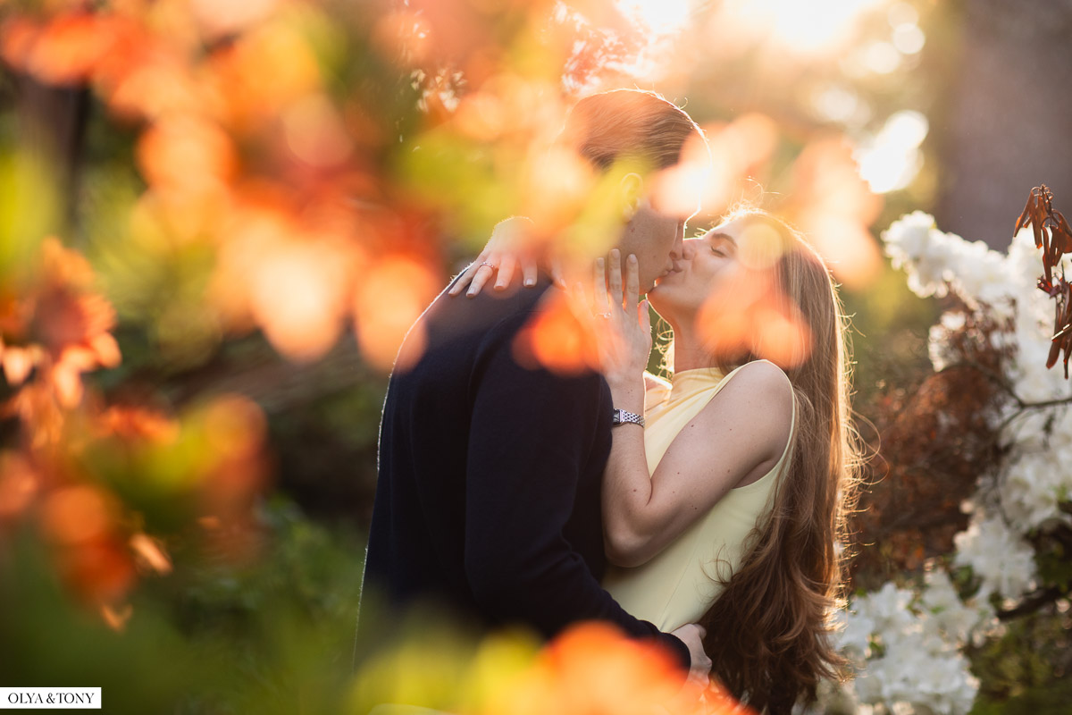 Proposal at Van Vleck House & Gardens 22 proposal at van vleck house gardens 12